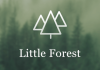 Little Forest（小森林）主题页面设计